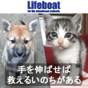 Lifeboat　NPO法人犬と猫のためのライフボート